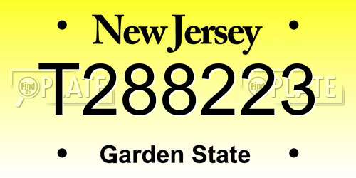 T288223 New Jersey License Plate