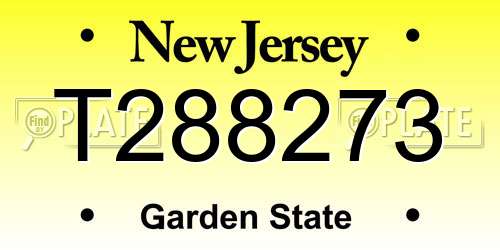 T288273 New Jersey License Plate