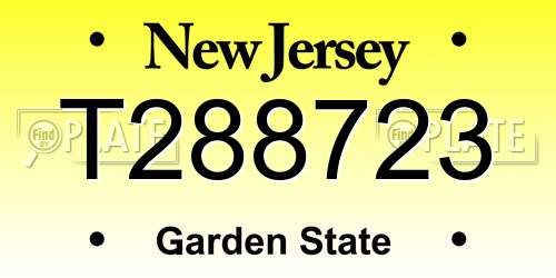 T288723 New Jersey License Plate