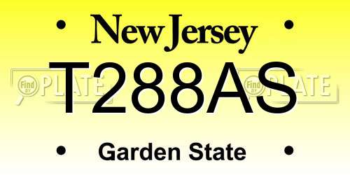 T288AS New Jersey License Plate