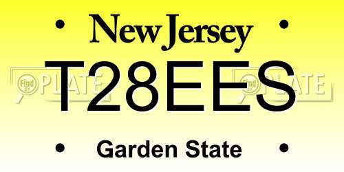 T28EES New Jersey License Plate