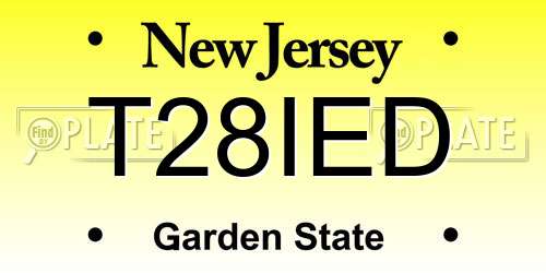 T28IED New Jersey License Plate
