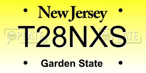 T28NXS New Jersey License Plate