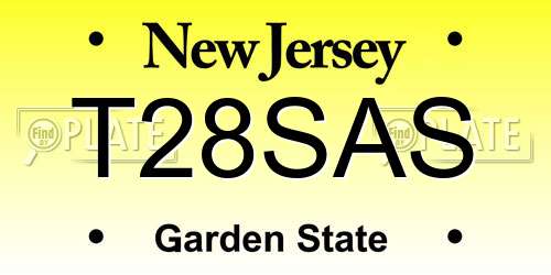 T28SAS New Jersey License Plate