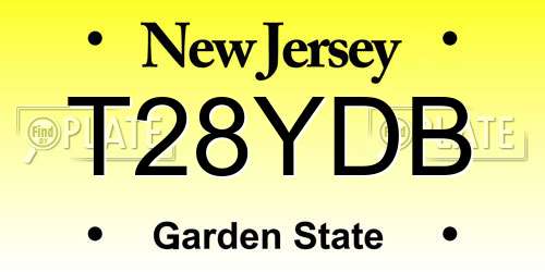 T28YDB New Jersey License Plate