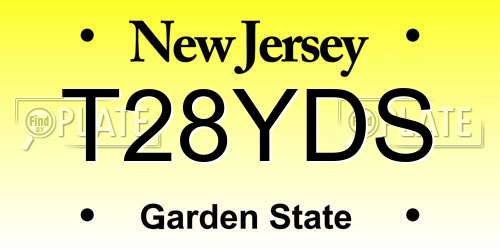 T28YDS New Jersey License Plate