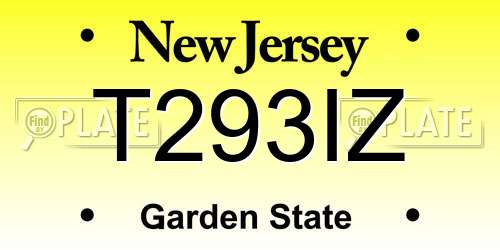 T293IZ New Jersey License Plate
