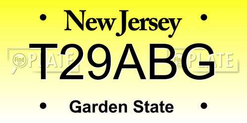 T29ABG New Jersey License Plate