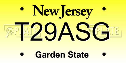 T29ASG New Jersey License Plate