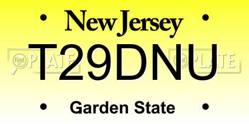 T29DNU New Jersey License Plate