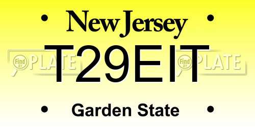T29EIT New Jersey License Plate