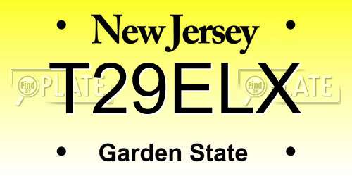 T29ELX New Jersey License Plate