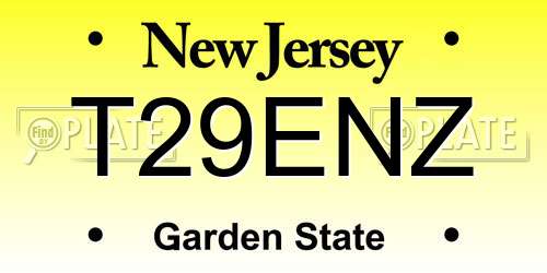 T29ENZ New Jersey License Plate