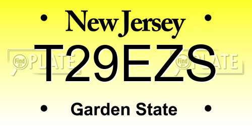 T29EZS New Jersey License Plate