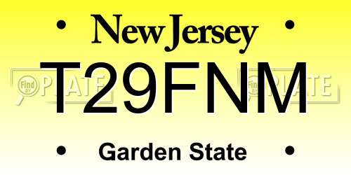 T29FNM New Jersey License Plate