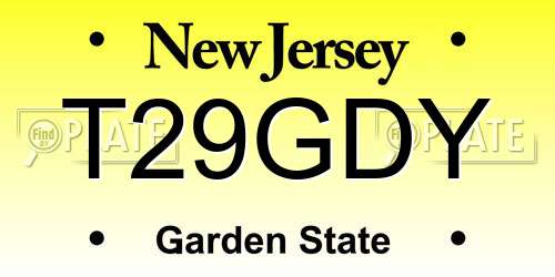 T29GDY New Jersey License Plate