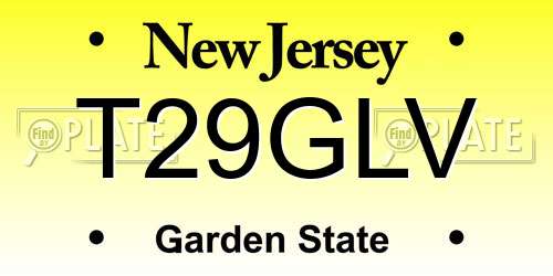T29GLV New Jersey License Plate