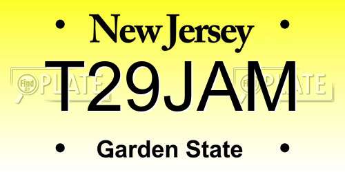 T29JAM New Jersey License Plate