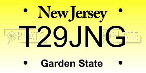 T29JNG New Jersey License Plate
