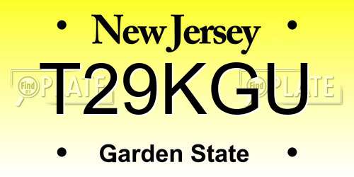 T29KGU New Jersey License Plate