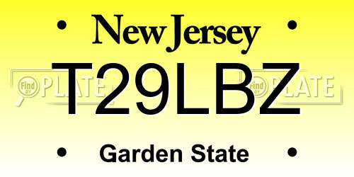 T29LBZ New Jersey License Plate