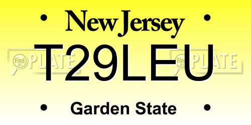 T29LEU New Jersey License Plate