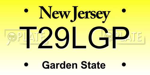 T29LGP New Jersey License Plate