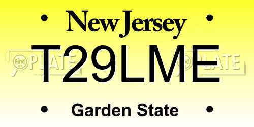 T29LME New Jersey License Plate