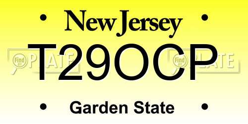 T29OCP New Jersey License Plate