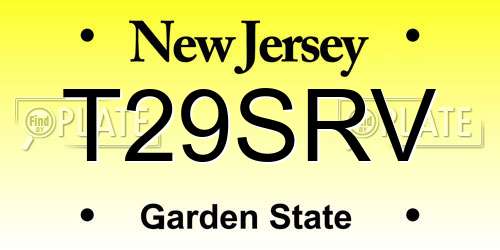 T29SRV New Jersey License Plate