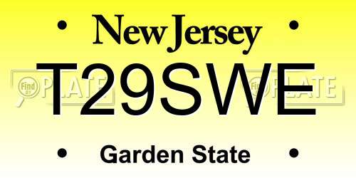 T29SWE New Jersey License Plate