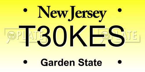 T30KES New Jersey License Plate