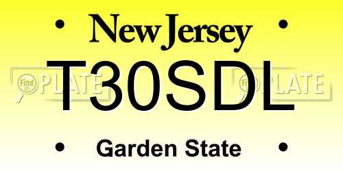 T30SDL New Jersey License Plate