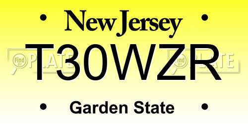 T30WZR New Jersey License Plate