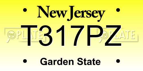 T317PZ New Jersey License Plate