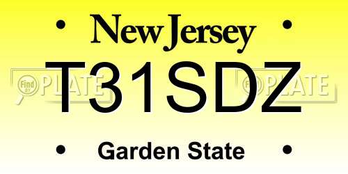 T31SDZ New Jersey License Plate