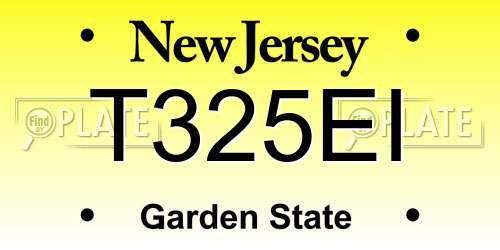 T325EI New Jersey License Plate