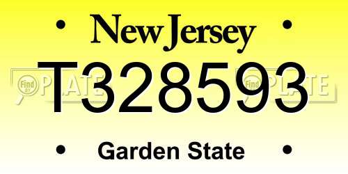 T328593 New Jersey License Plate