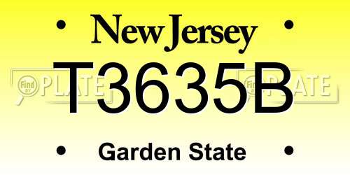 T3635B New Jersey License Plate