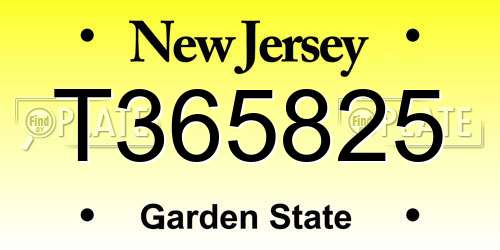 T365825 New Jersey License Plate