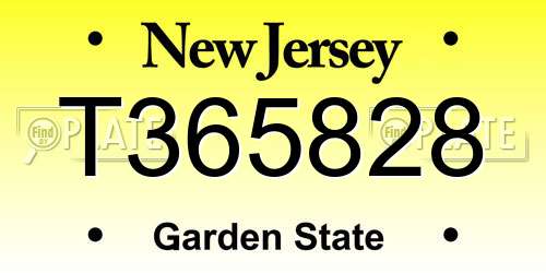 T365828 New Jersey License Plate