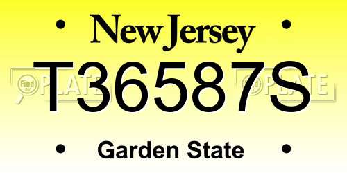 T36587S New Jersey License Plate
