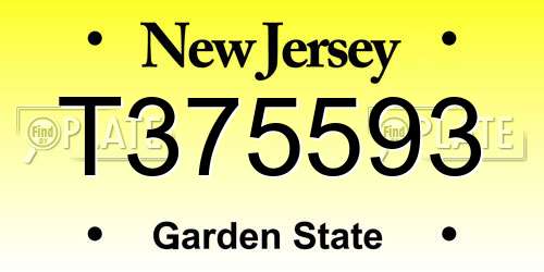 T375593 New Jersey License Plate