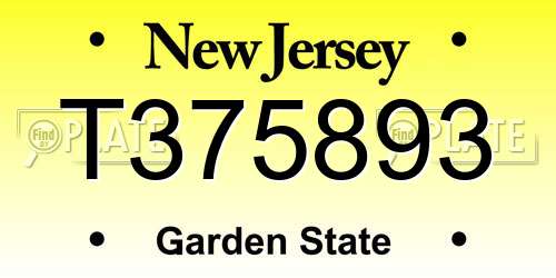 T375893 New Jersey License Plate