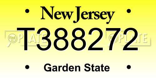T388272 New Jersey License Plate