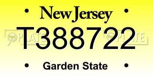 T388722 New Jersey License Plate