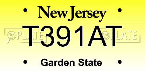 T391AT New Jersey License Plate