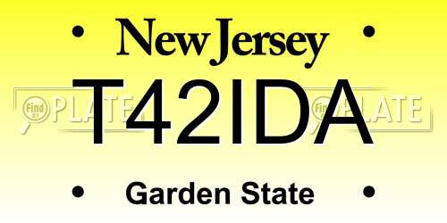 T42IDA New Jersey License Plate