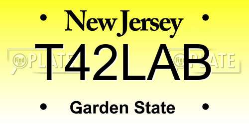 T42LAB New Jersey License Plate