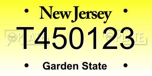 T450123 New Jersey License Plate